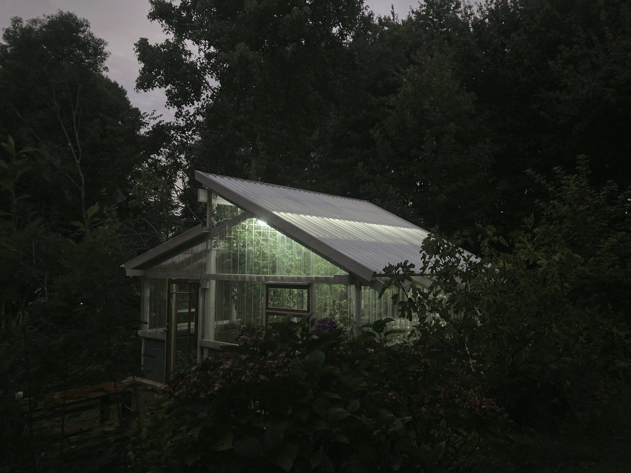 The garden seen from the house at dusk, glasshouse light held in the dark planting.