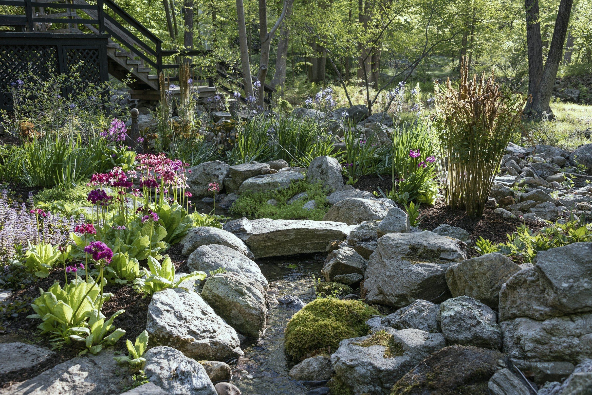 A stone-set rain bed below a timber deck, boulders and moss holding the channel with marginal planting along both edges.
