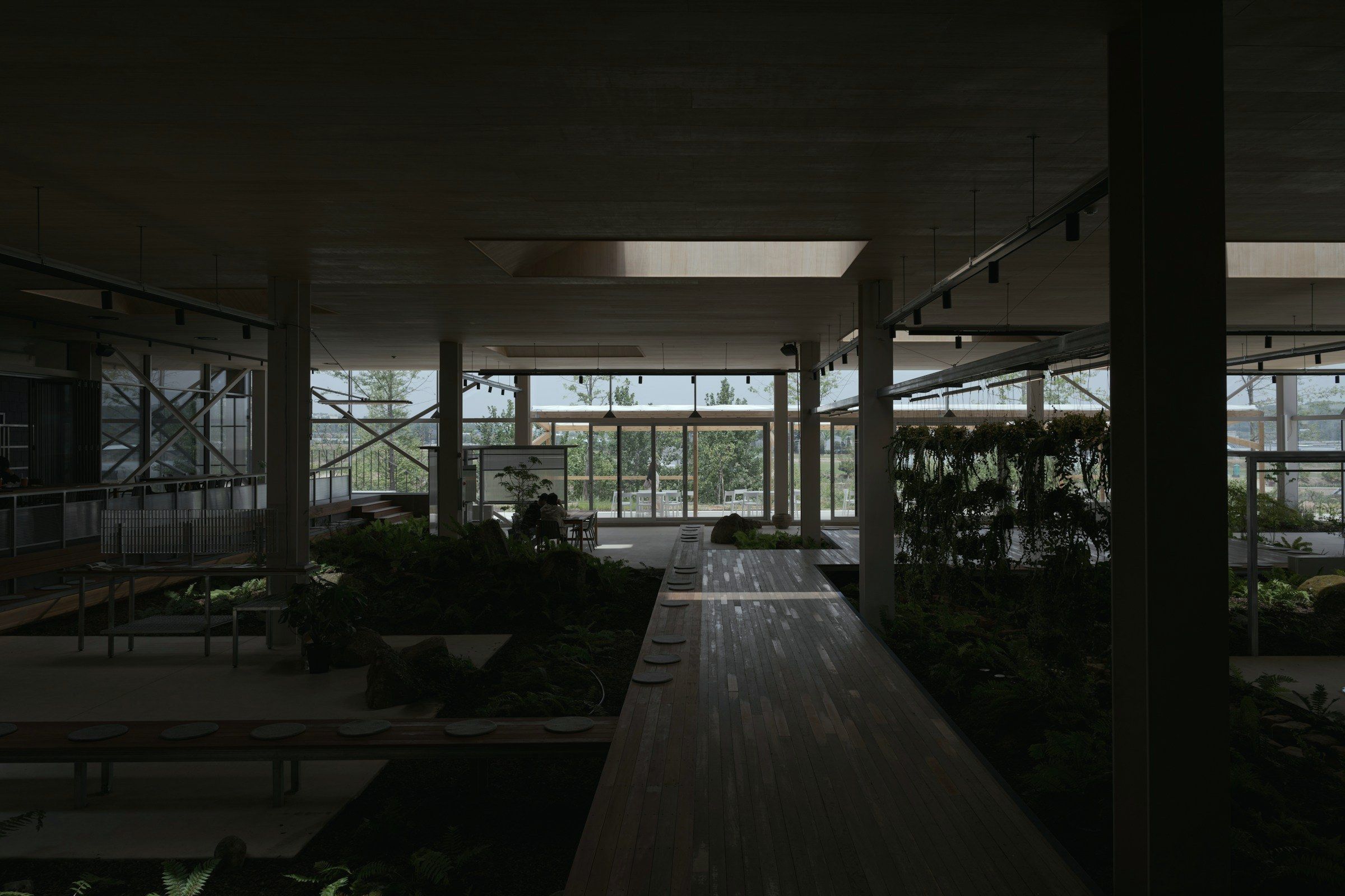 The studio floor: a timber walkway running between planted beds of fern and moss under a beamed ceiling, colleagues at a table by the glazed wall.