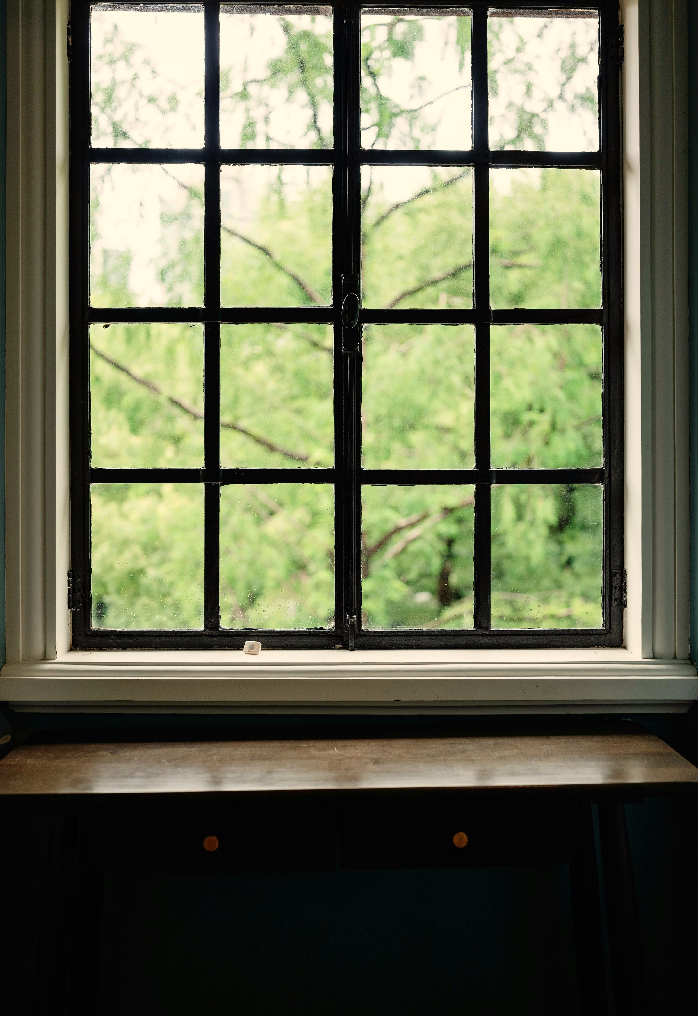 Glazing detail: a black steel casement, four lights by four, set in a painted reveal above a timber sill, with foliage beyond the glass.