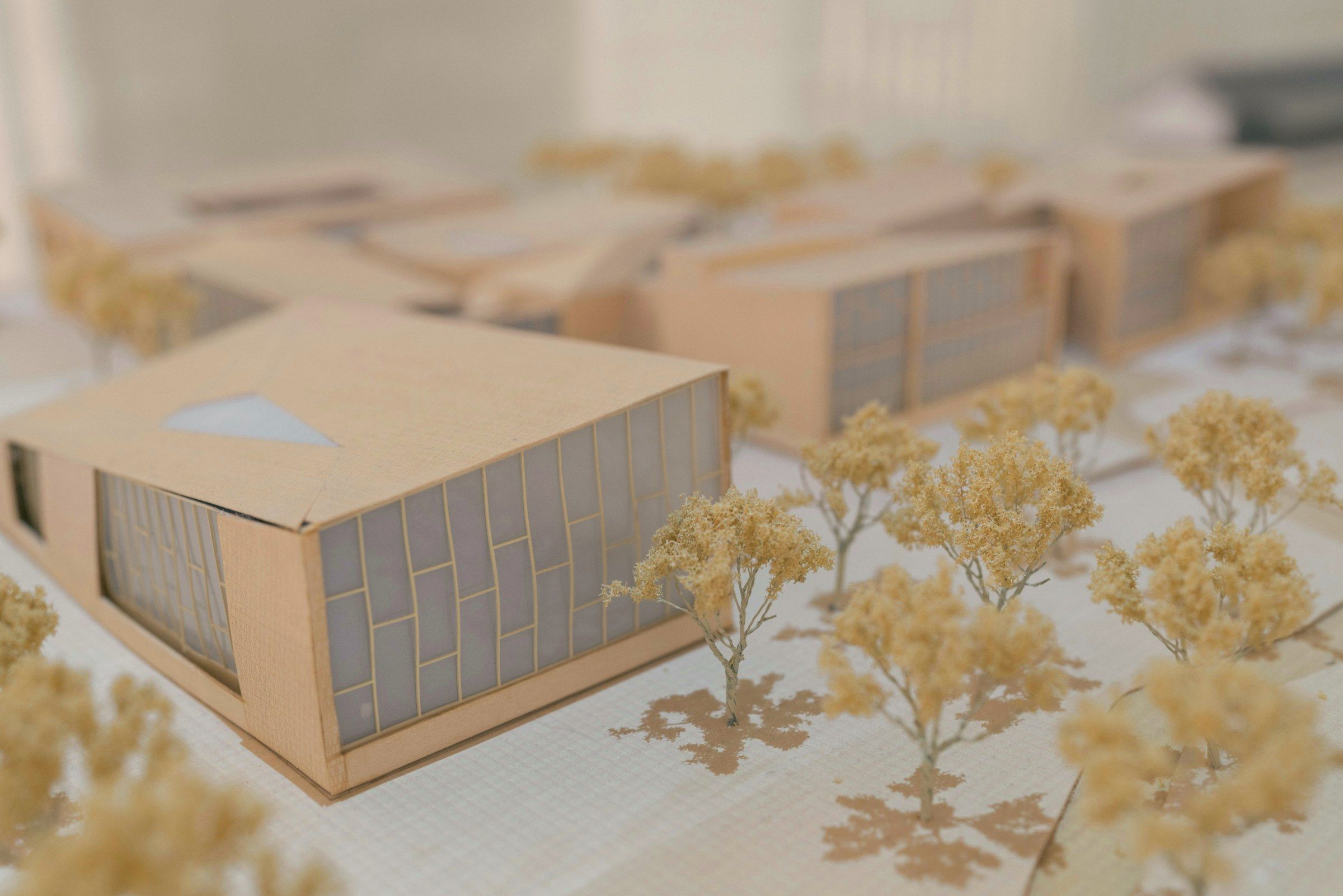 A pale card architectural model with dried-flower trees, standing on an unrolled drawing sheet.